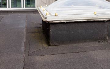 disadvantages of Trowley Bottom flat roofs